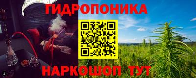 шишки Туймазы