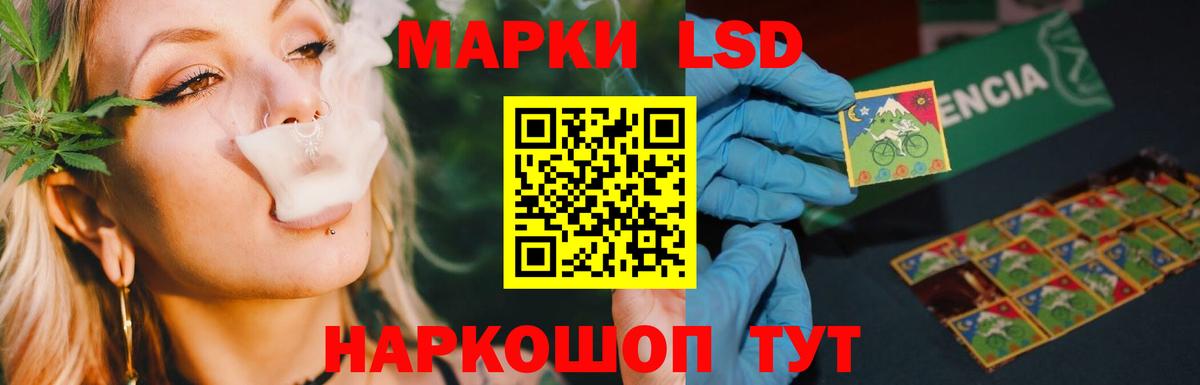 LSD-25 экстази  LSD-25 экстази кислота  Бердск  Вход с VPN  Лсд 25 экстази ecstasy 