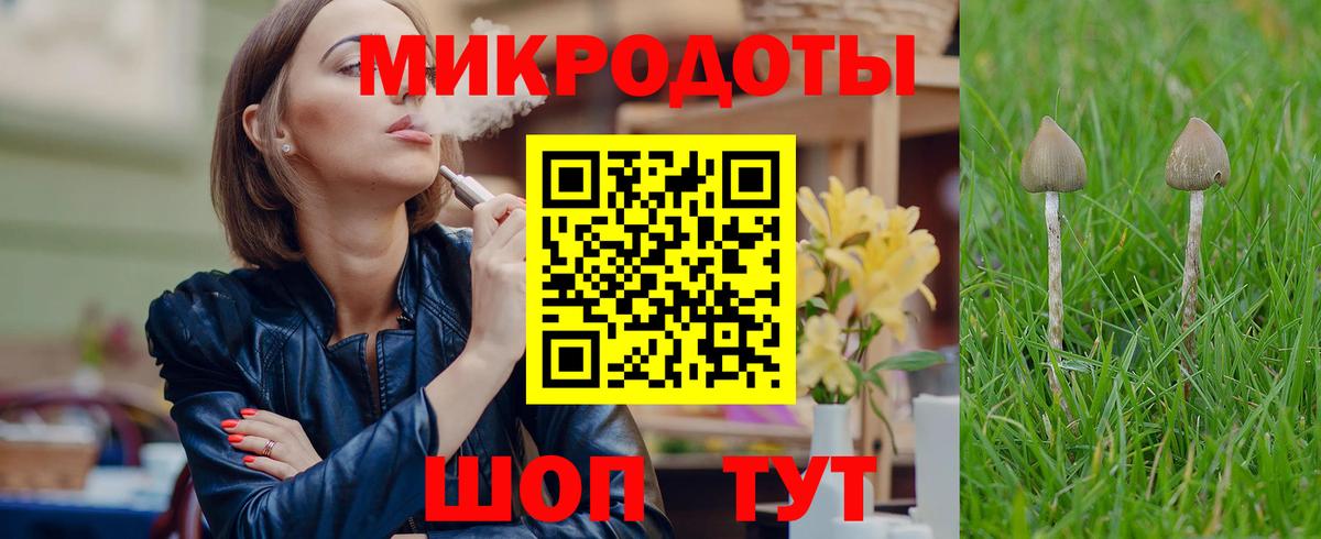 Псилоцибиновые грибы ЛСД Бердск